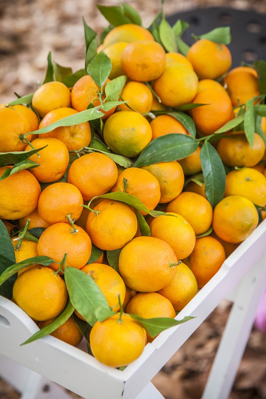 Image - oranges orange fresh juice squeeze