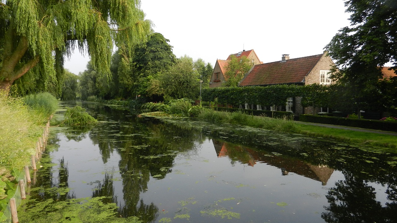 Image - netherlands landscape green nature