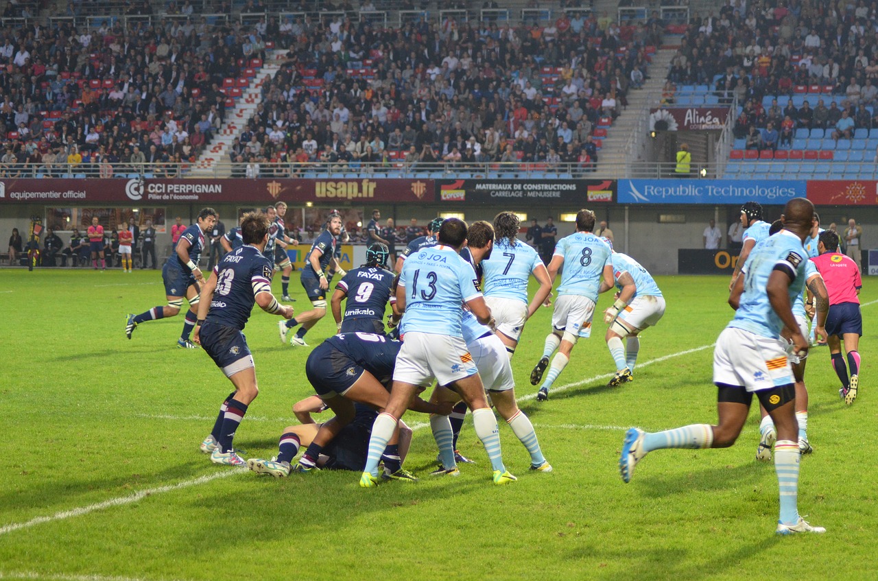 Image - usap rugby perpignan