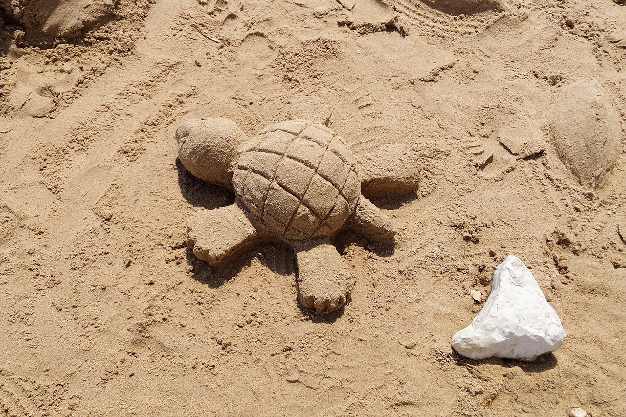 Image - sand turtle holiday play art