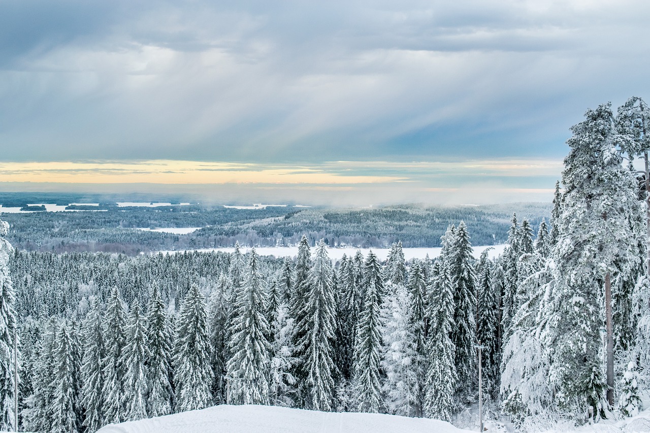 Image - forest winter six snow finnish