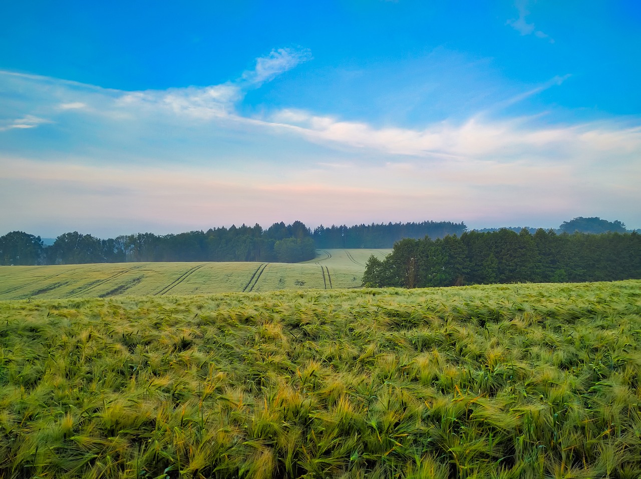 Image - poland farm field meadow crop