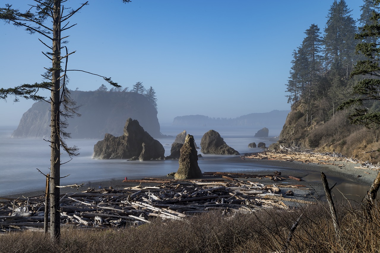 Image - beach pacific coastline ocean coast