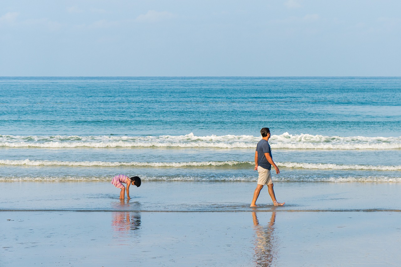 Image - father son beach walking parent