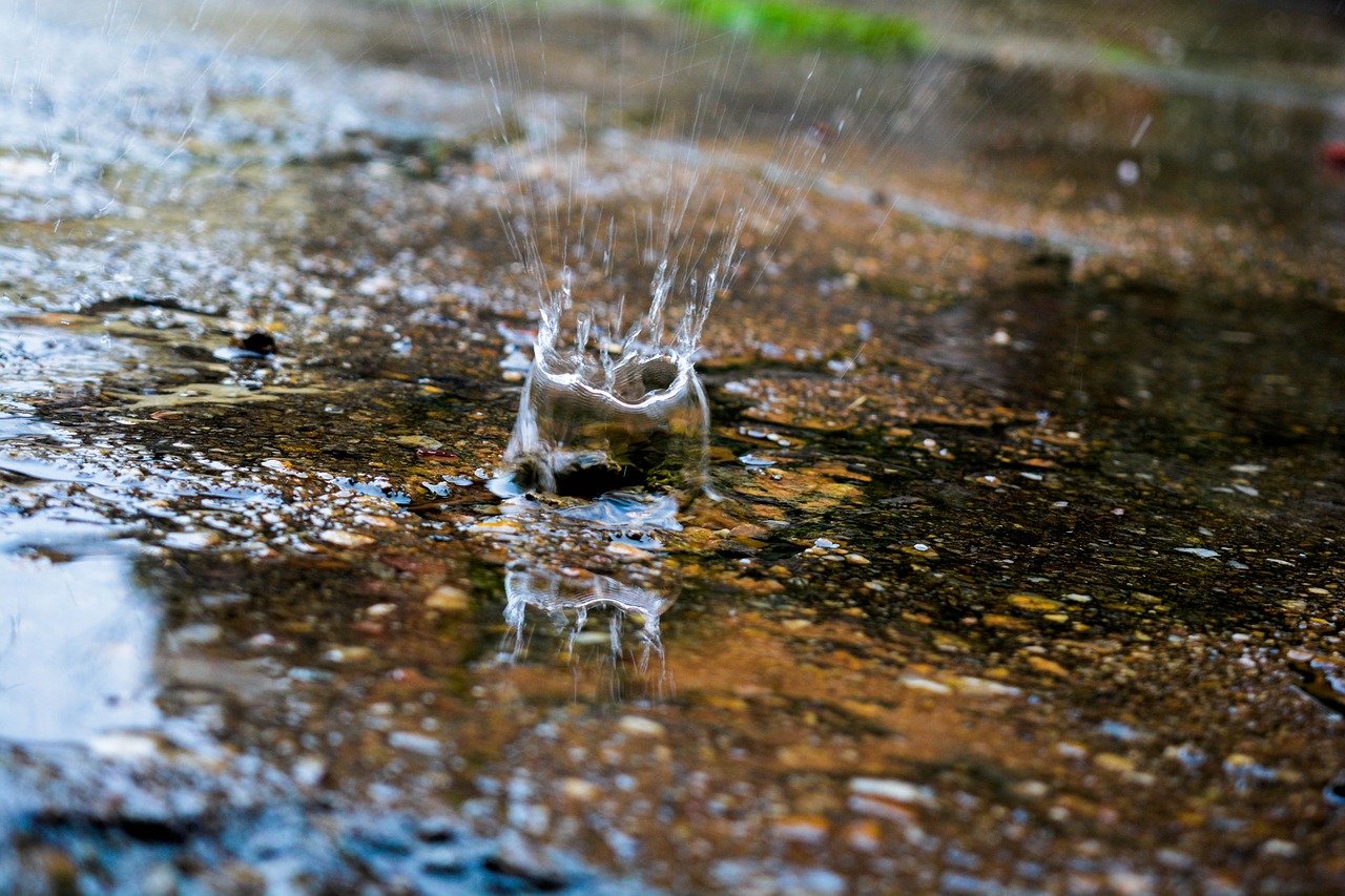 Image - rain rainy water splash nature