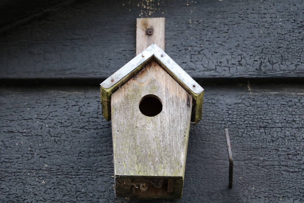 Image - birdhouse barn bird