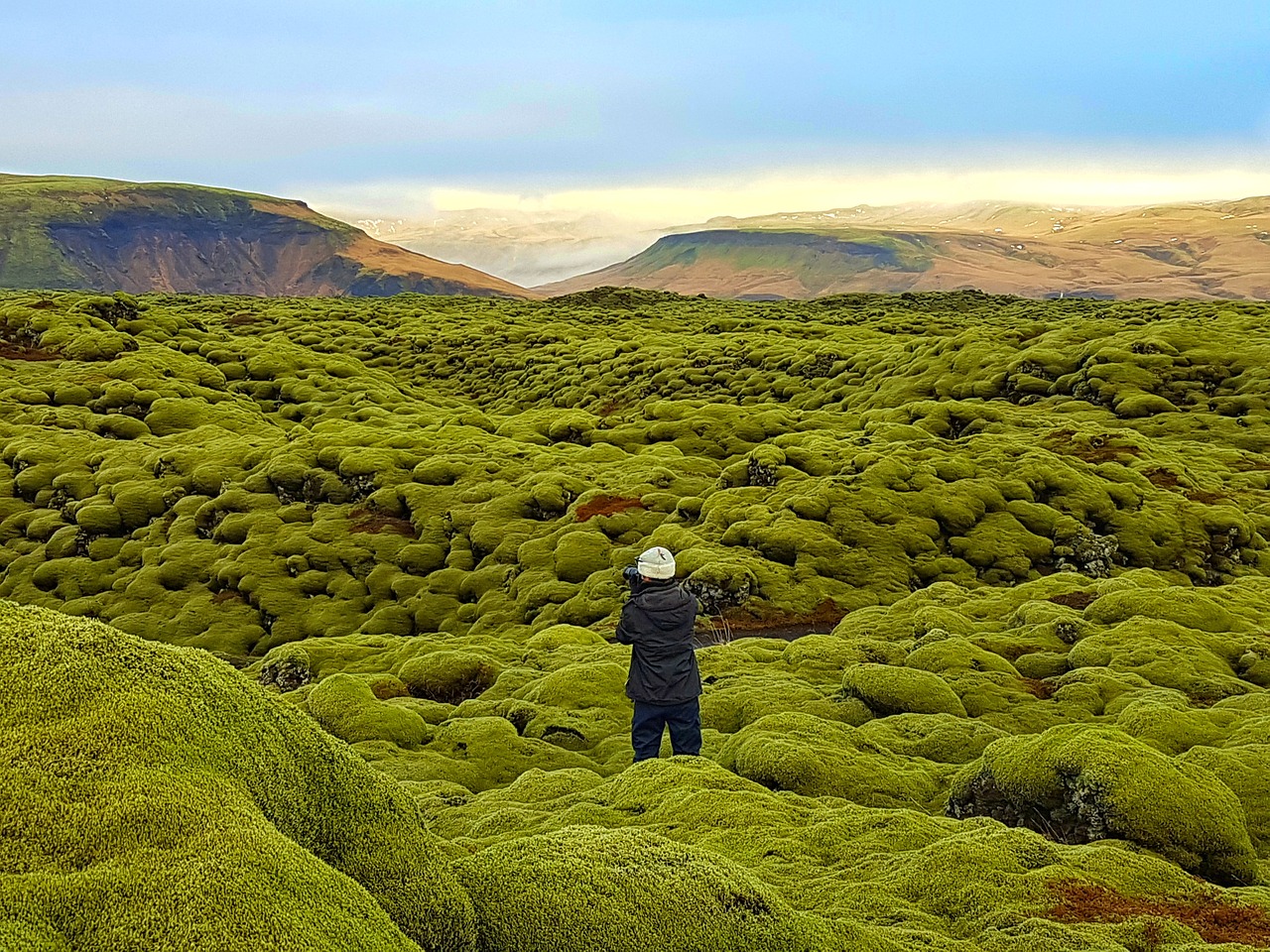 Image - lava field moss field eldhraun