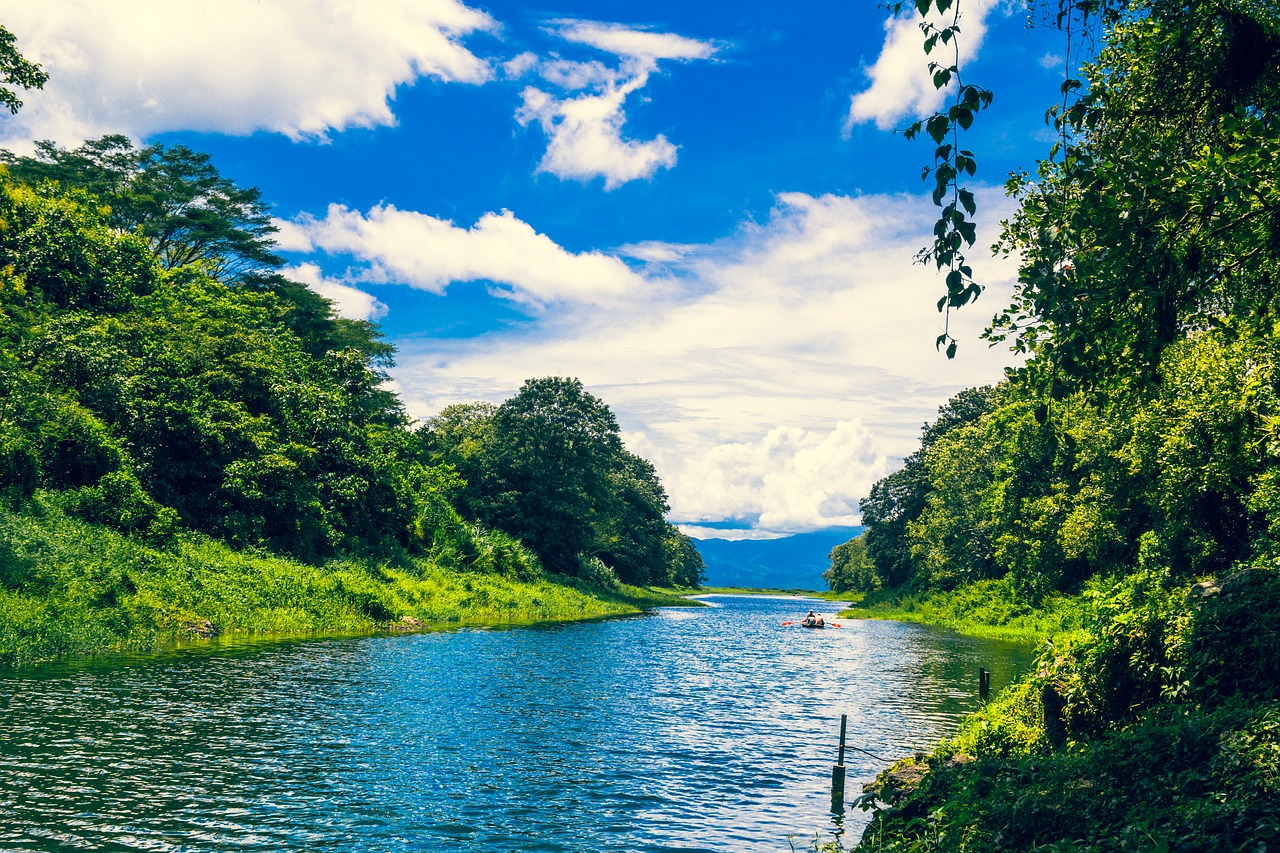 Image - honduras water verde green plants