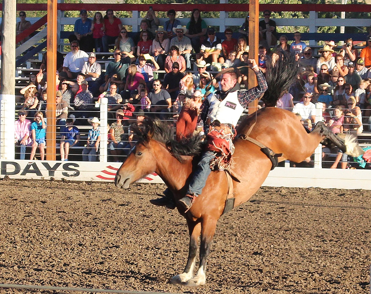 Image - rodeo horse cowboy bucking bronco