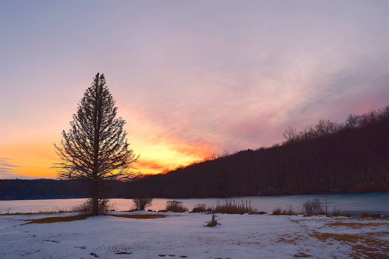 Image - sunset lake tree sky clouds