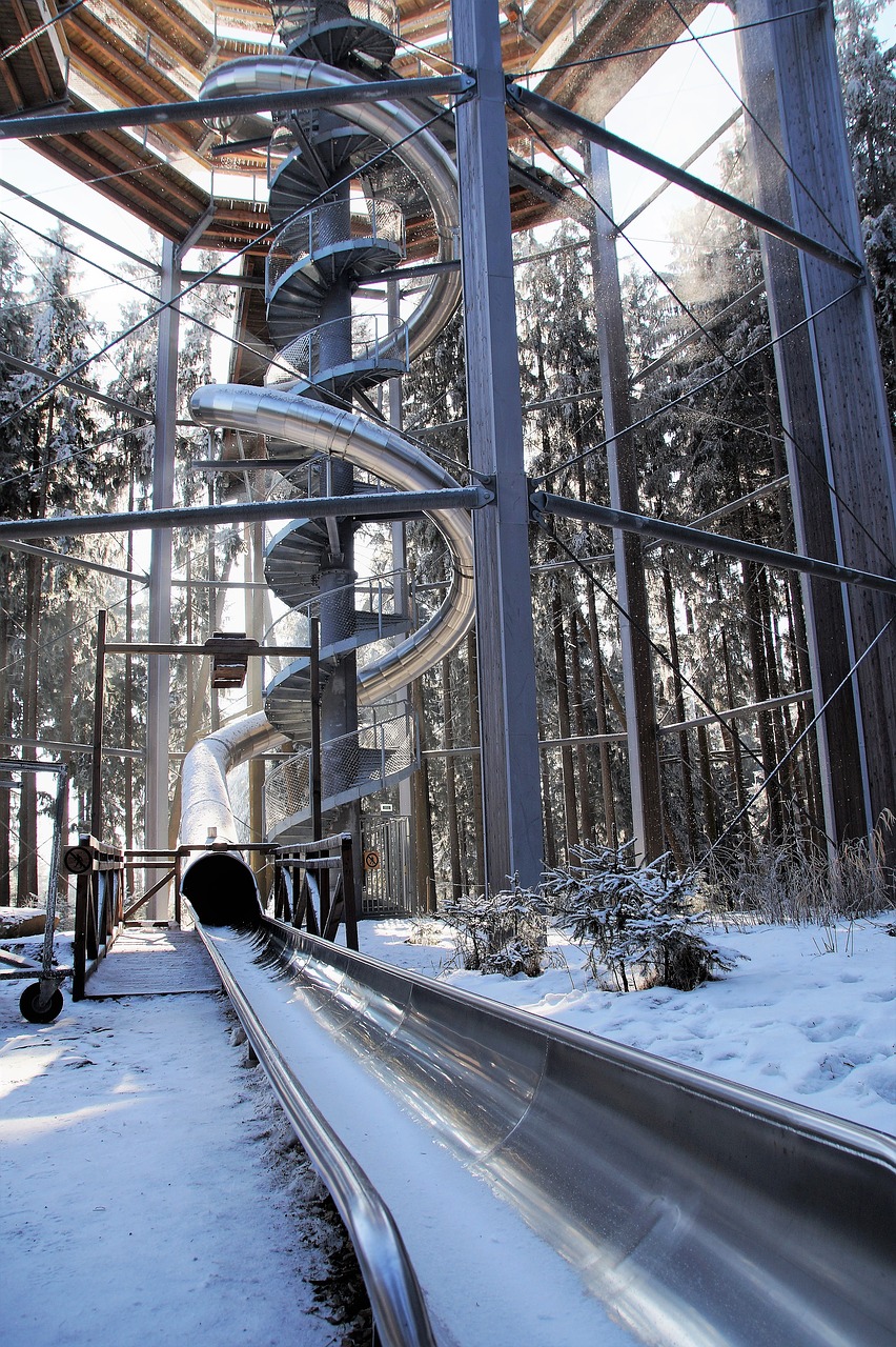 Image - trail treetops lipno slide šumava