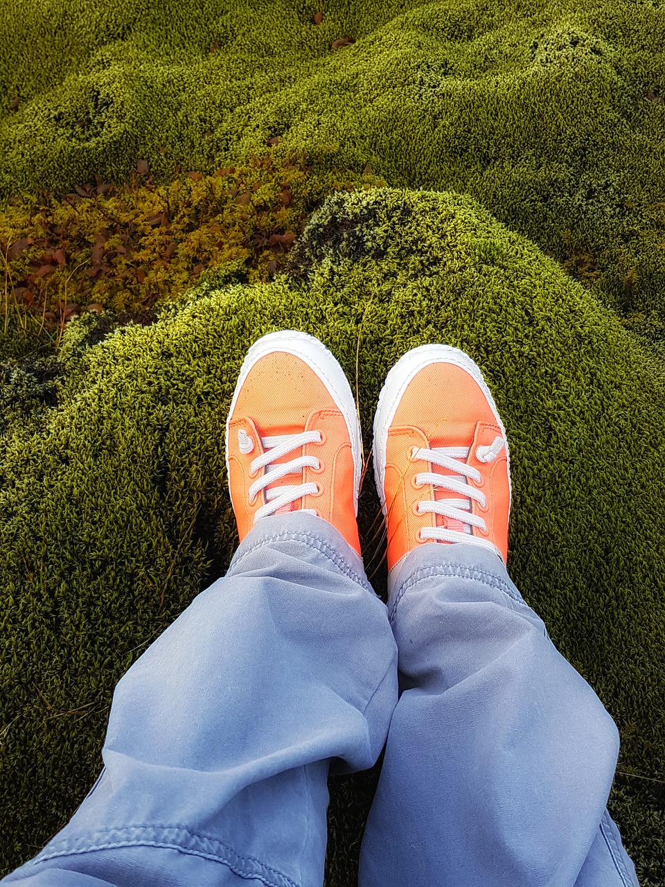 Image - lava field moss field iceland relax