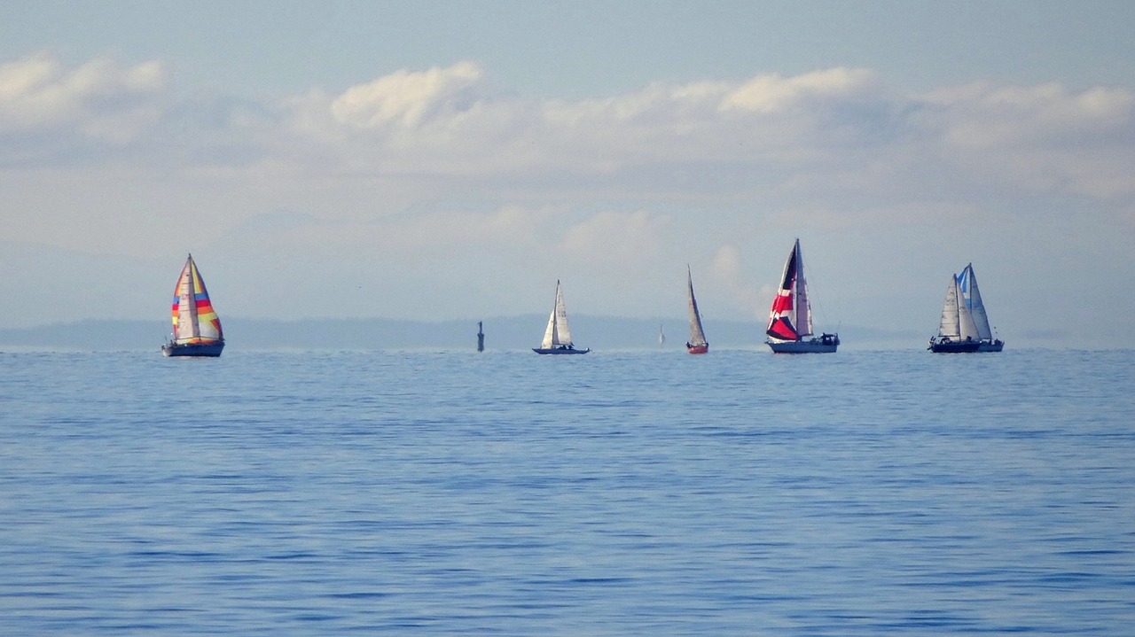 Image - sailboats sailing water ocean sea