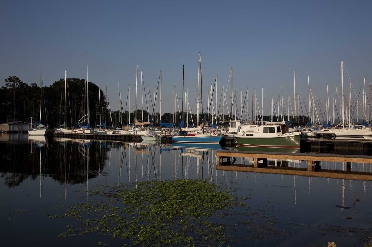 Image - sailboats lake vessels marina port