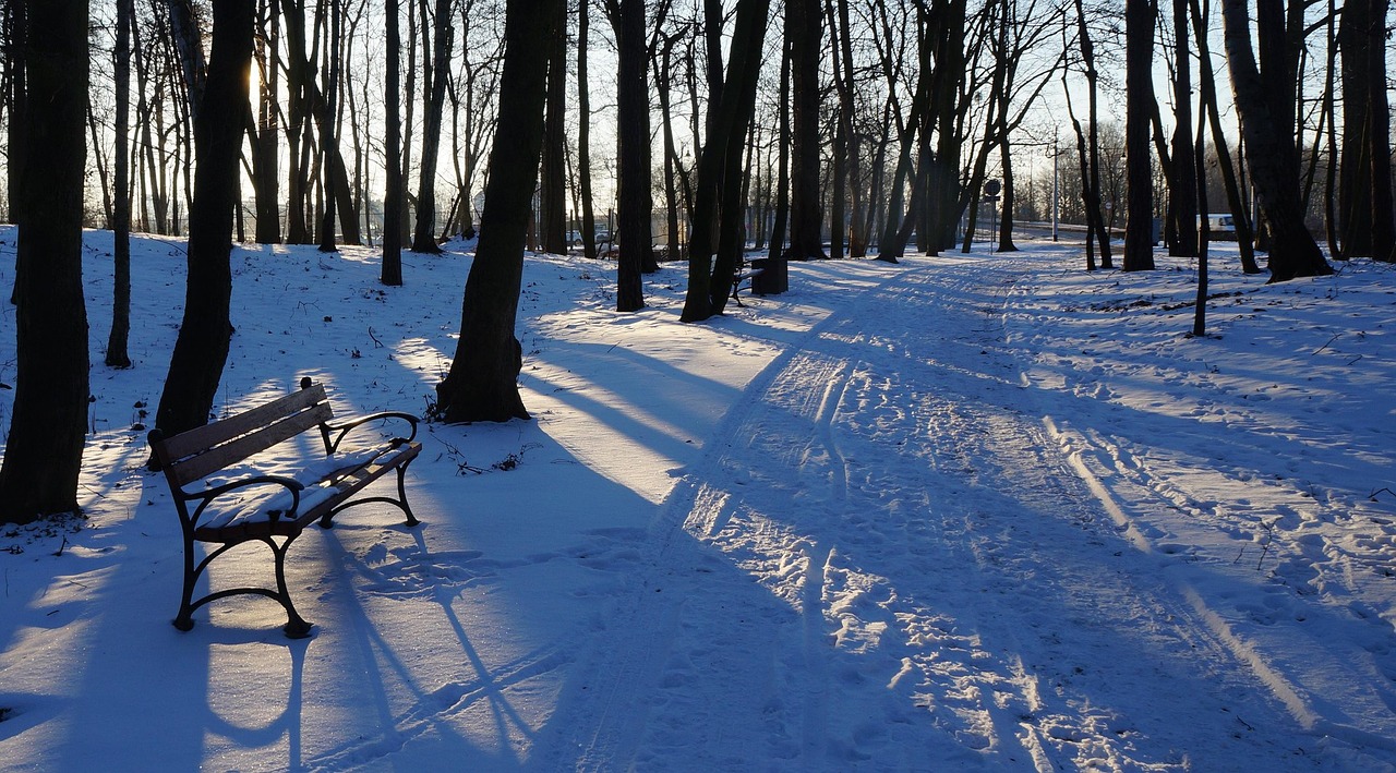 Image - landscape view place park the path