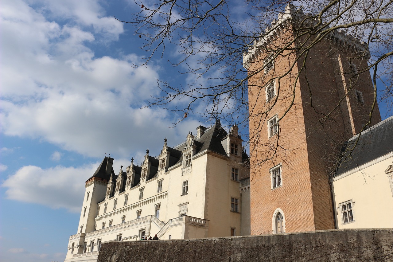 Image - castle pau france king of france