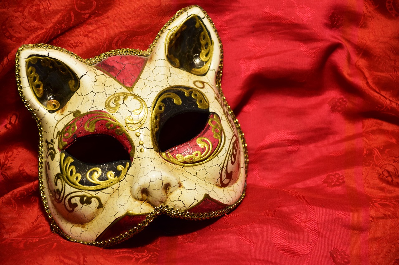 Image - mask cat carnival color cat mask