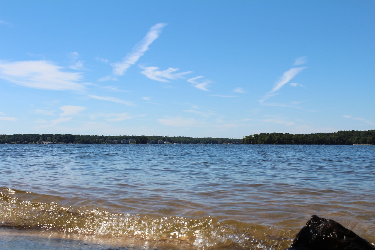 Image - water beach lake park waves