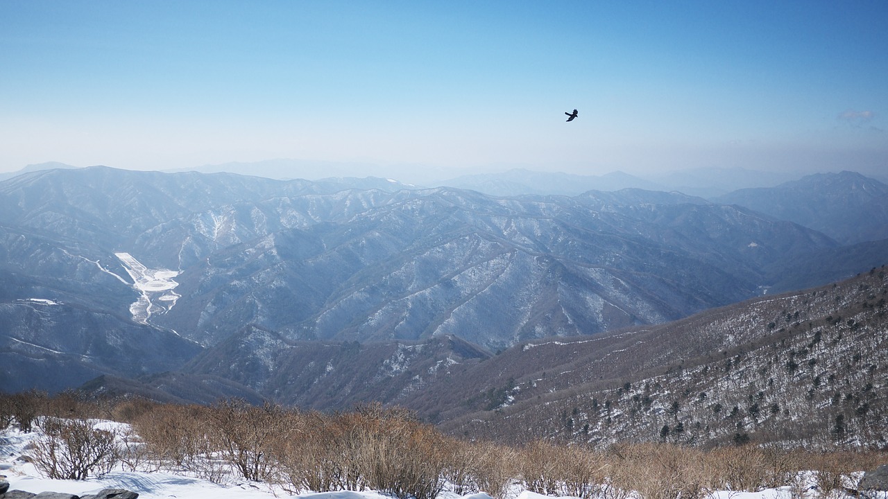 Image - taebaek top mountain snow