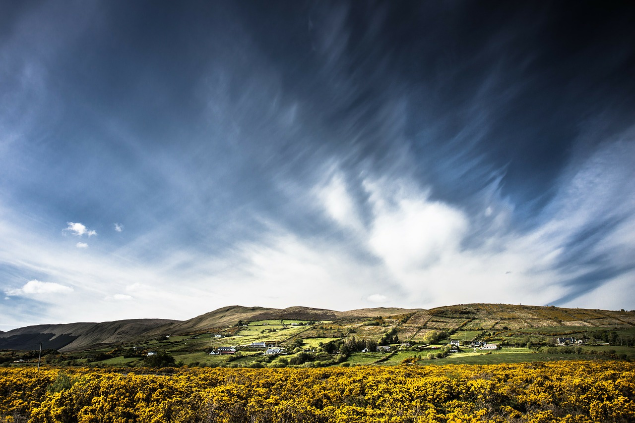 Image - tourmakeady ireland landscape broom