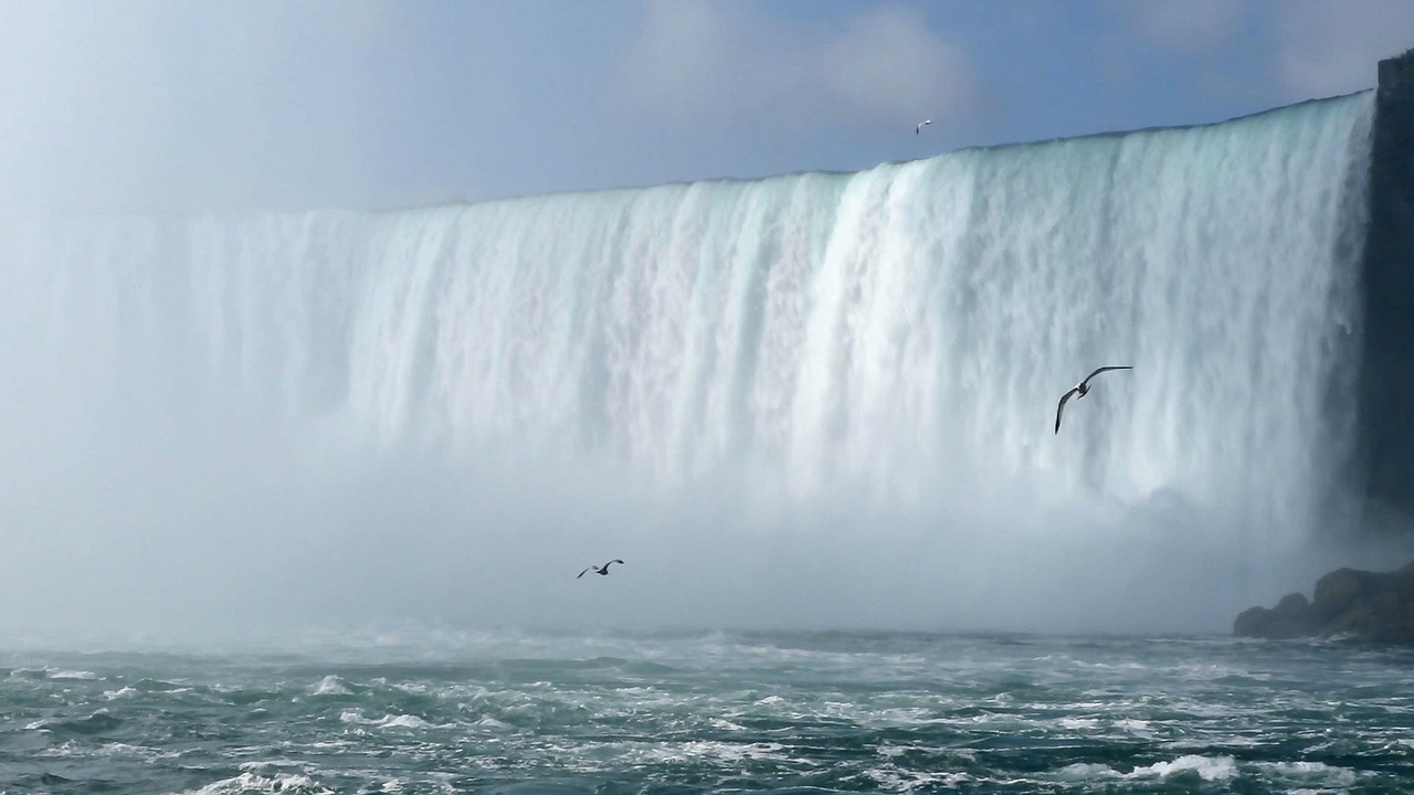 Image - niagara falls waterfall birds