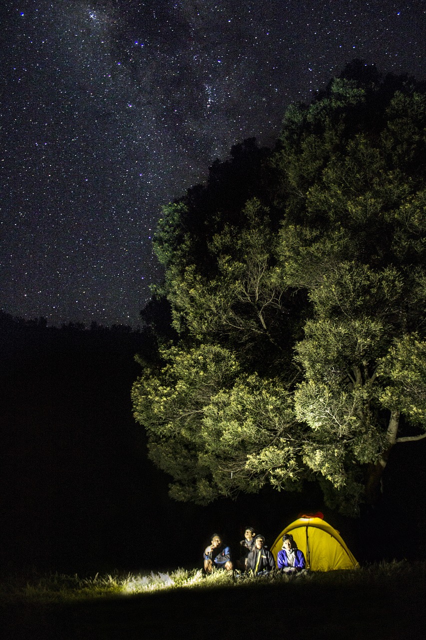 Image - sky stars bromo mountain tree