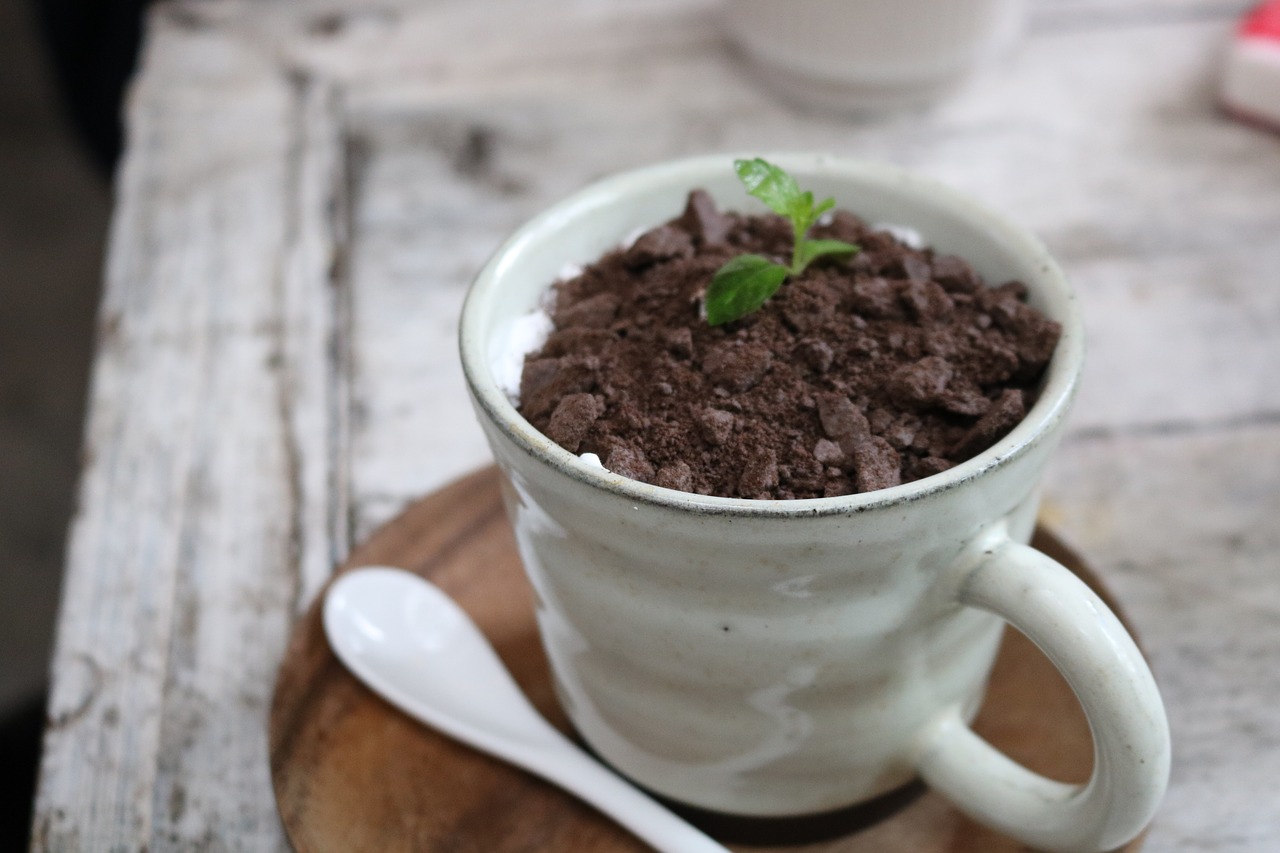 Image - coffee afternoon tea cup
