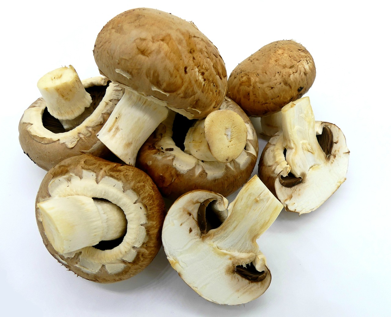 Image - mushrooms brown mushrooms food