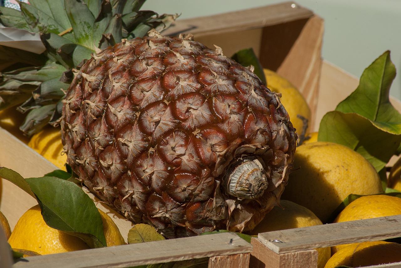 Image - pineapple fruit lemons