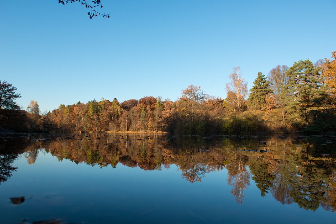 Image - stuttgart bear lake nature autumn