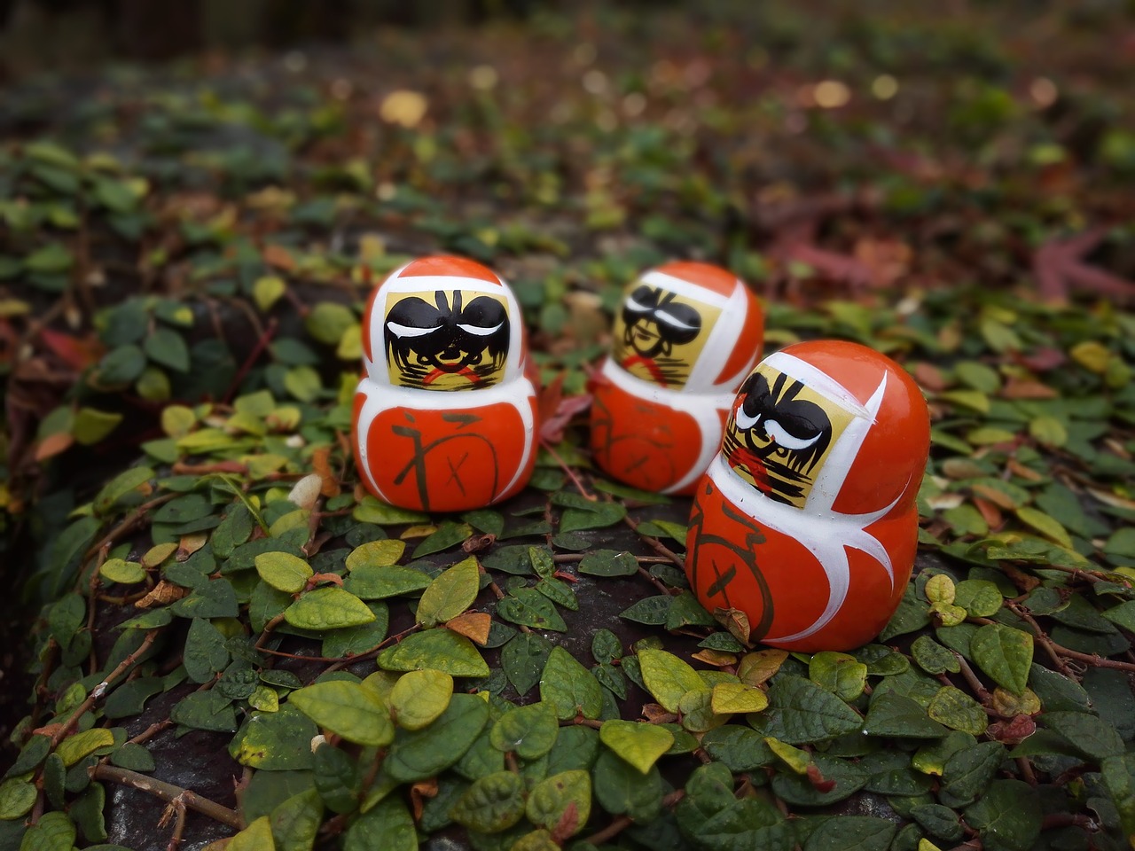 Image - daruma doll dharma tumbling doll