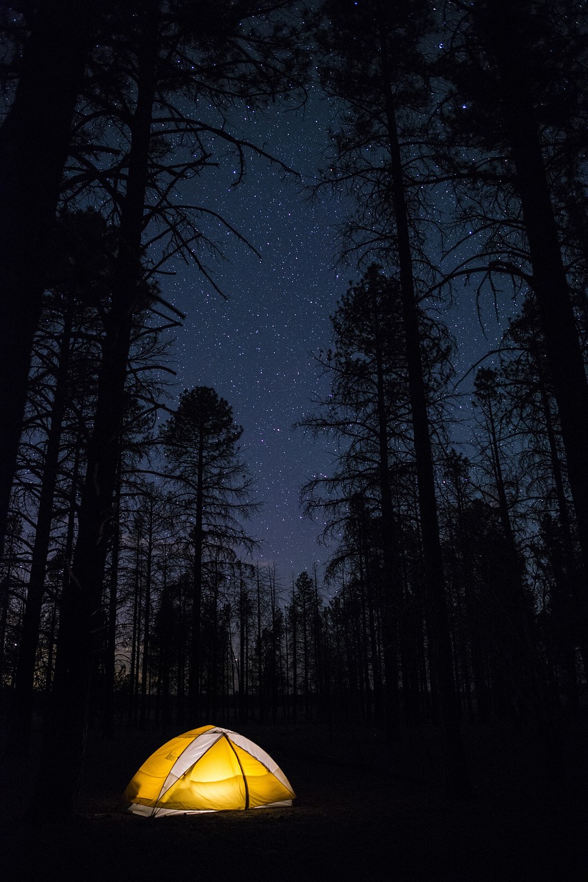 Image - camping night tent recreation