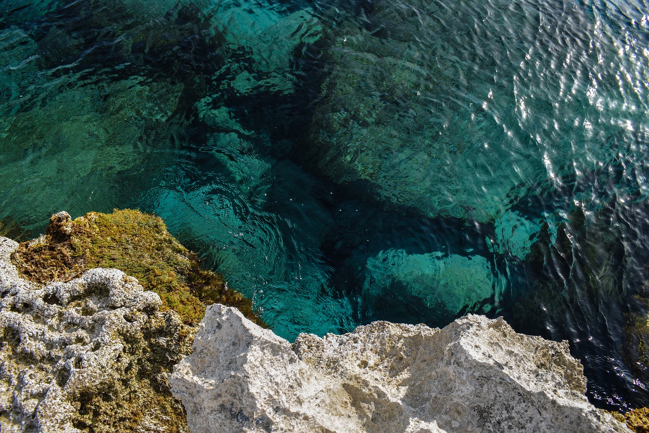 Image - sea transparent water clear