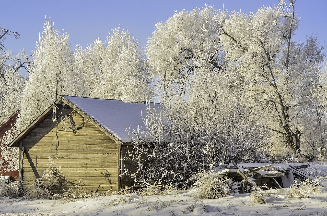 Image - winter old shed hoarfrost snow