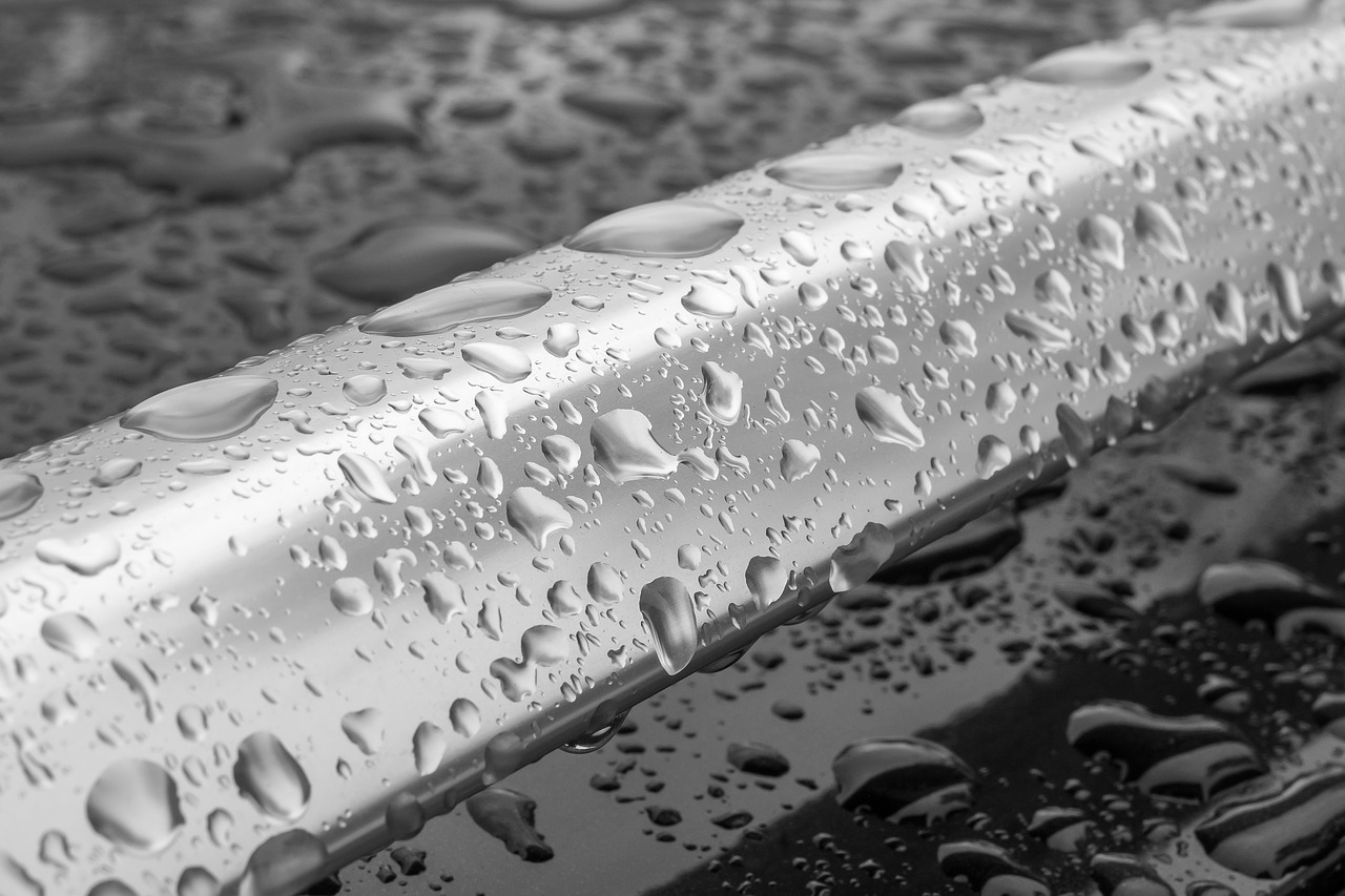 Image - water rain drop monochrome drops