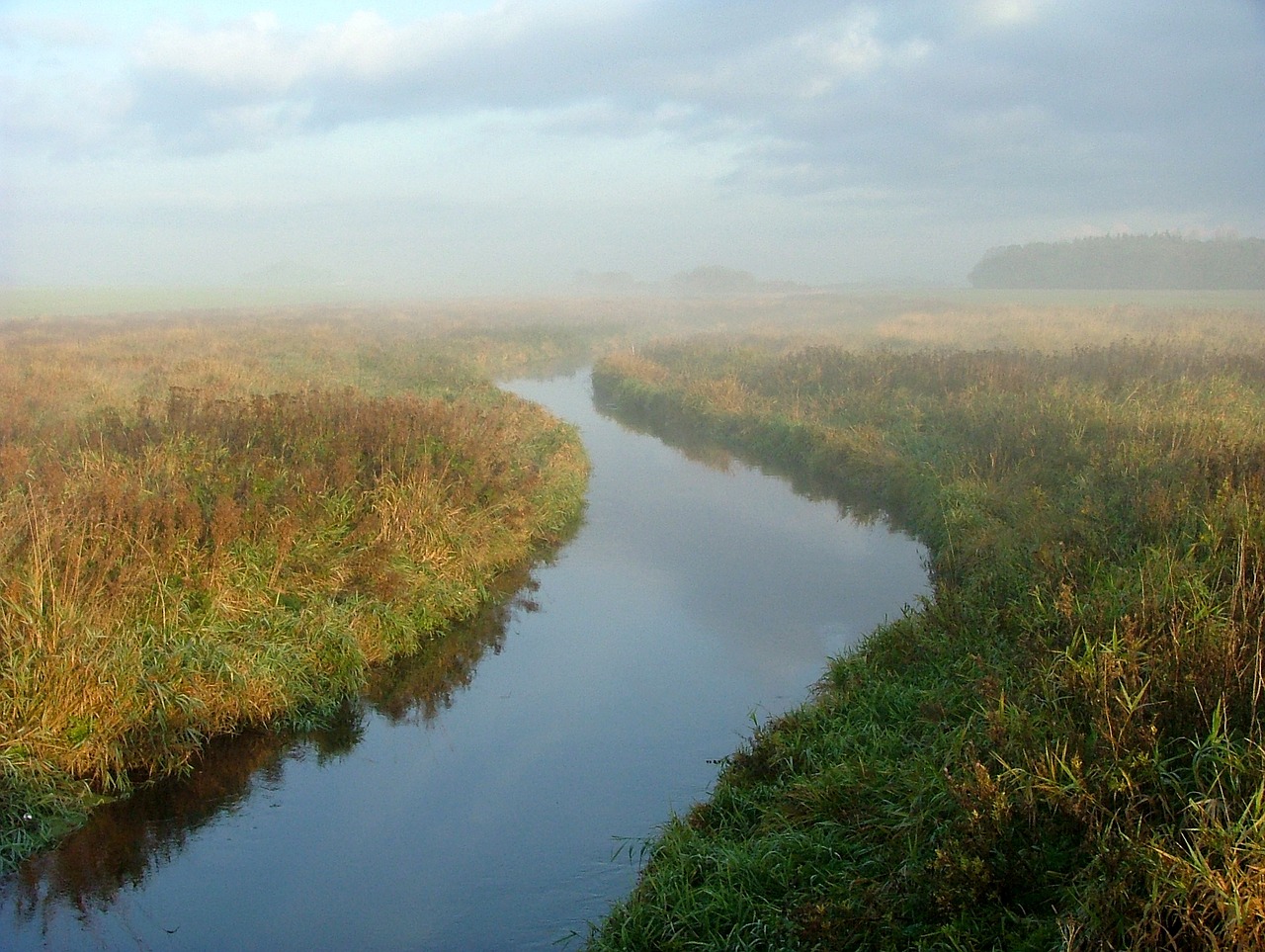 Image - å morning mist streams ditch