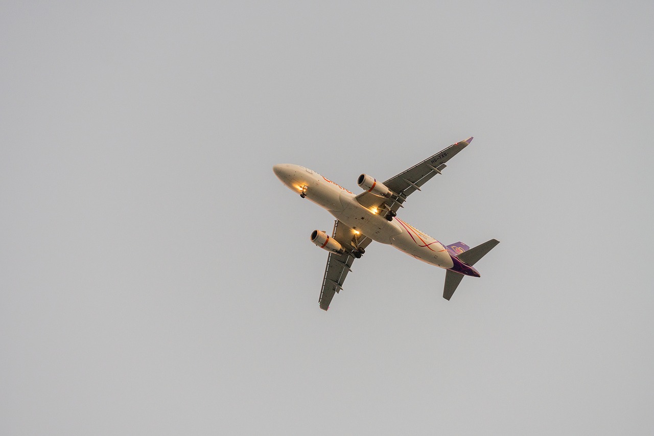 Image - airplane flying plane flight