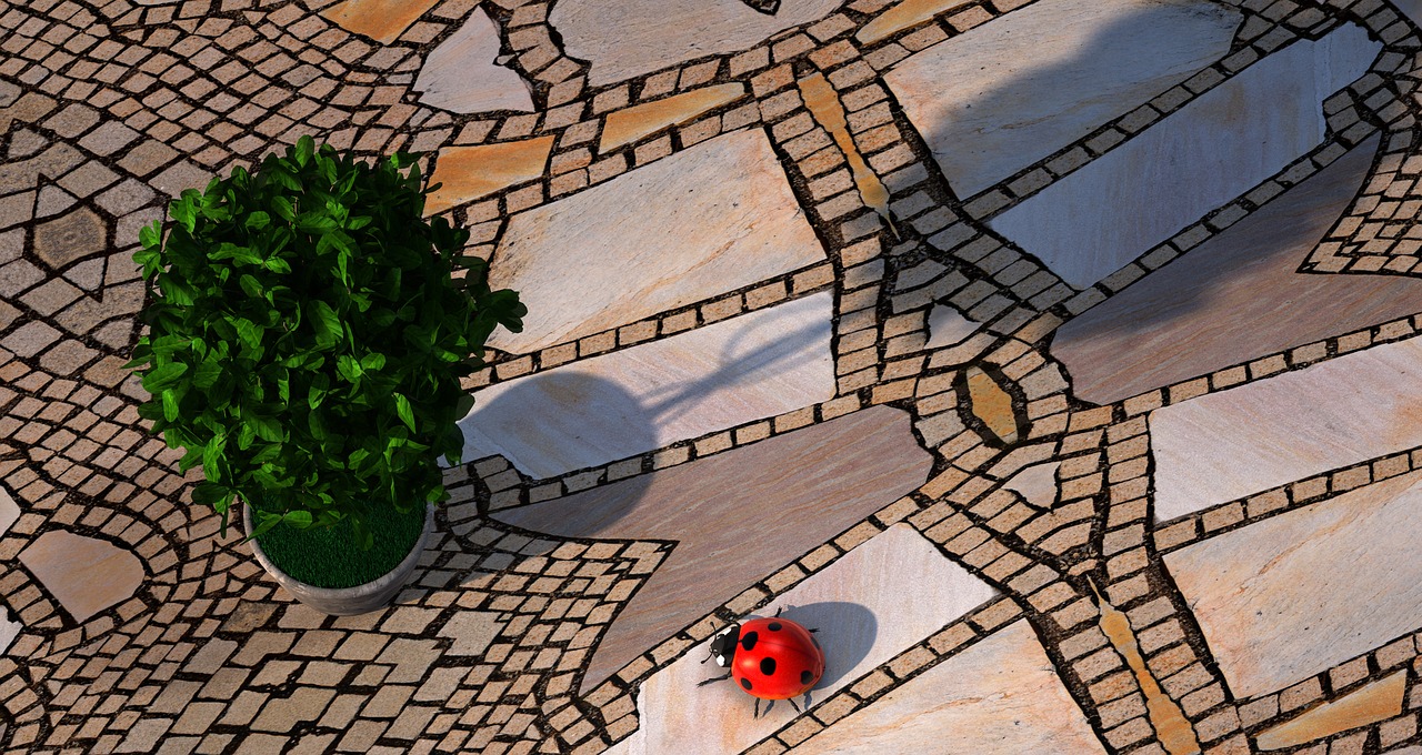 Image - beetle plant garden stones mosaic