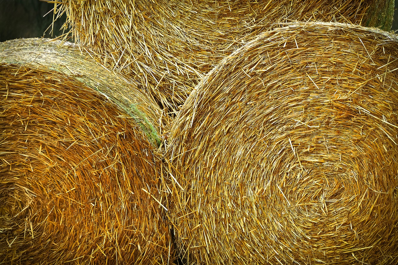 Image - landscape hay bales agriculture