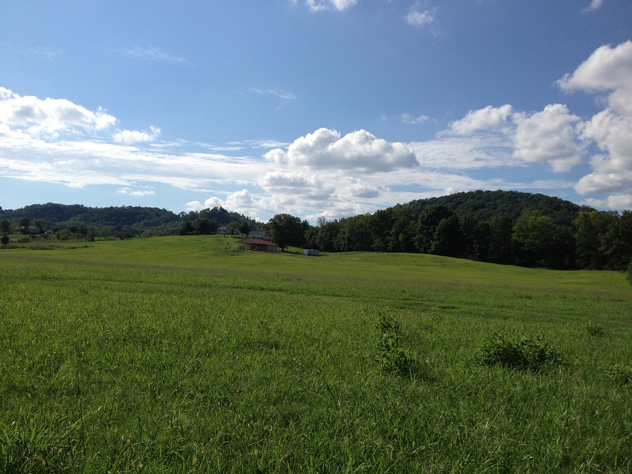 Image - rolling fields tennessee