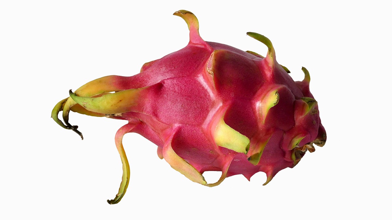 Image - fruit exotic fruits dragon fruit