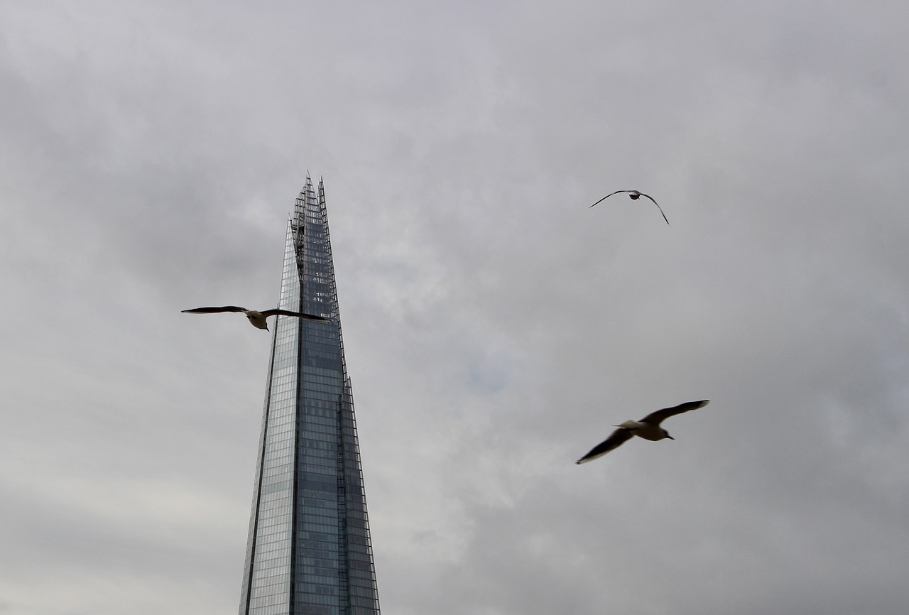 Image - tower london birds sky england