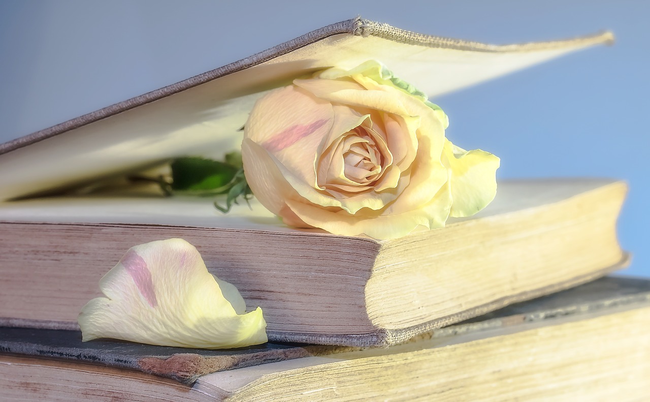 Image - rose book old book blossom bloom