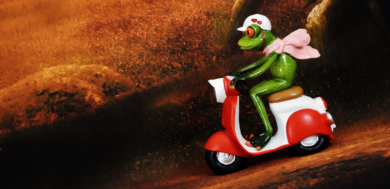 Image - frog vespa figure roller vehicle