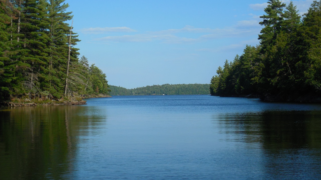 Image - bay pines lake nature landscape