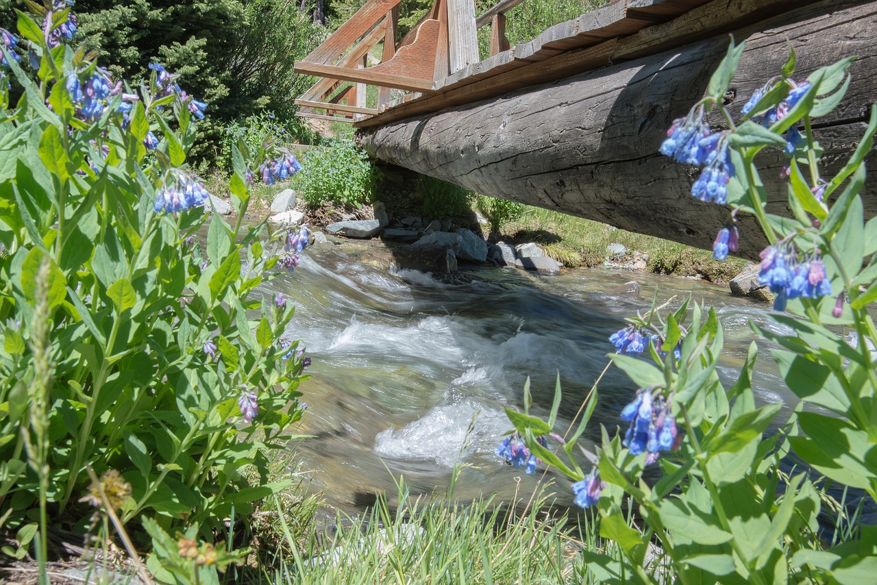 Image - stream spring water outdoor