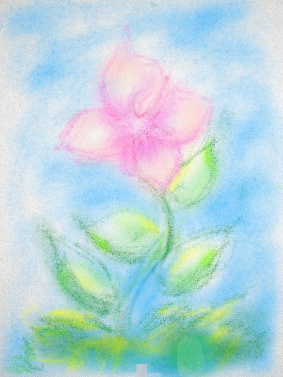 Image - drawing flower pastels