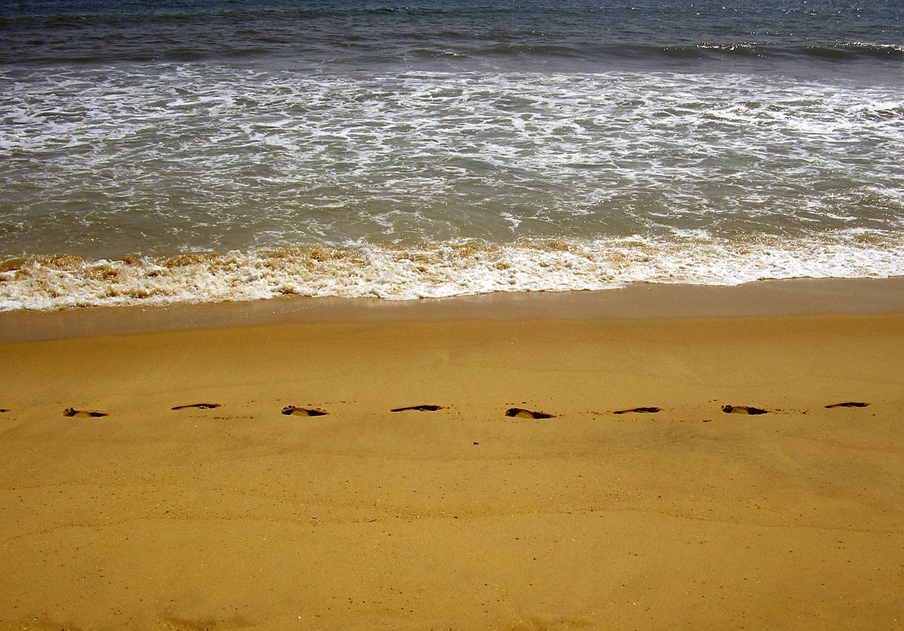 Image - beach sea ​​shore tracks sand