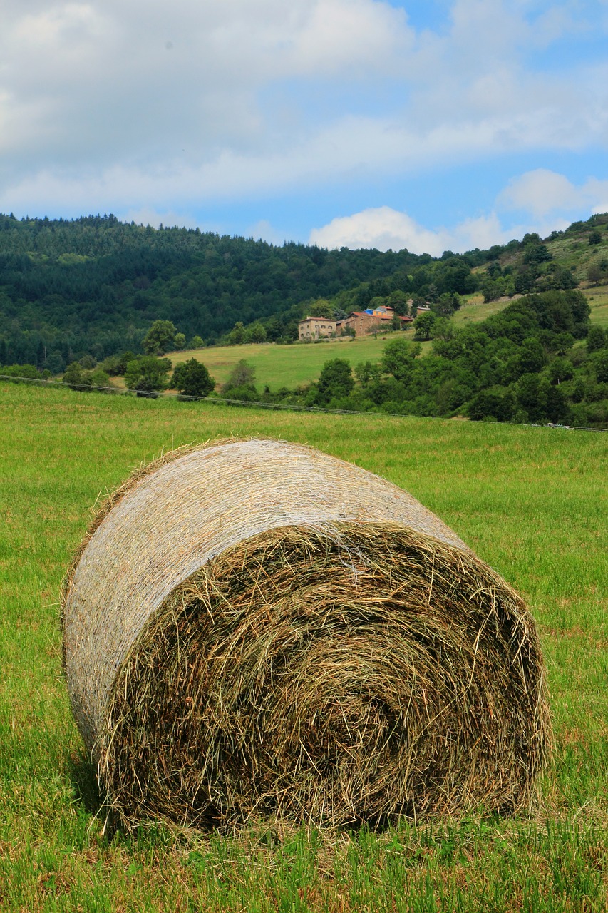 Image - nature hay pre harvest roller