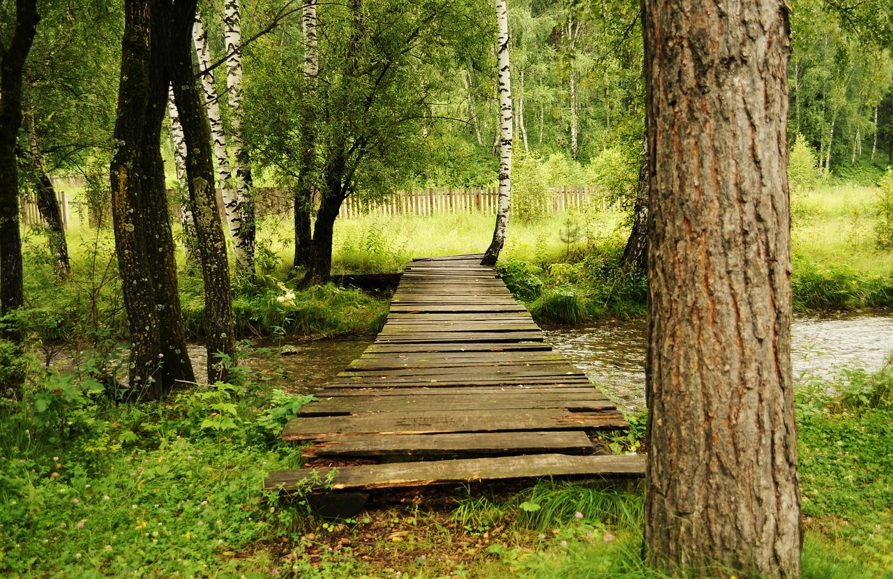 Image - bridge wooden woods landscape